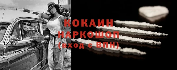 стаф Алзамай