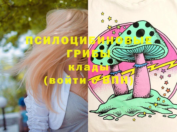 стаф Алзамай
