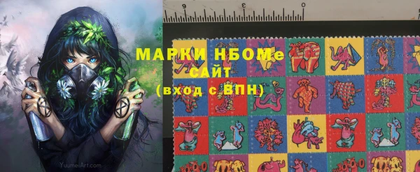 стаф Алзамай