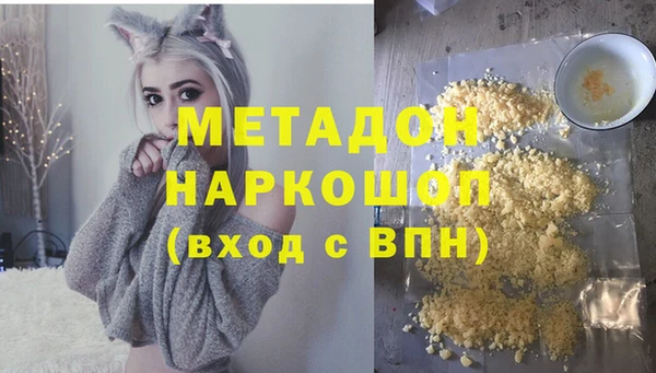 стаф Алзамай
