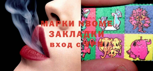 стаф Алзамай