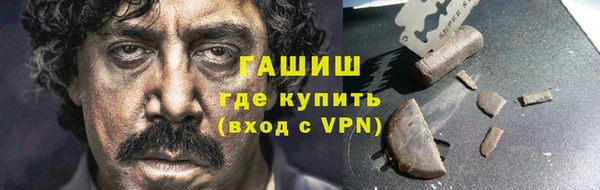 стаф Алзамай