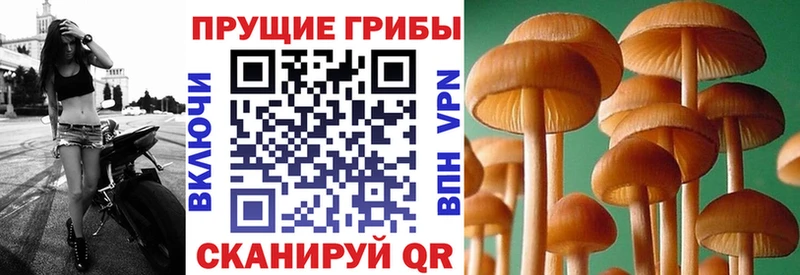 Псилоцибиновые грибы мухоморы Сосновка